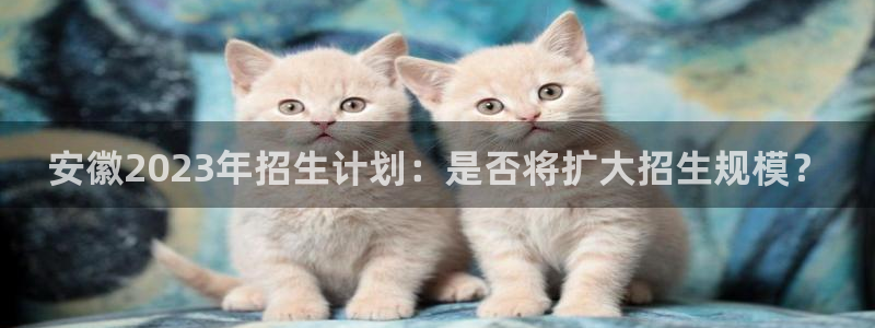 2元网河南二十二选五开奖号码