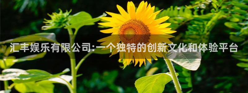 2元网走势图大全