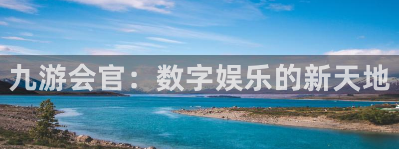 2元网河南二十二