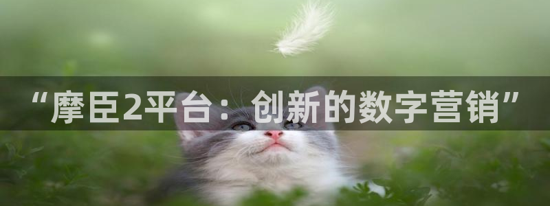 2元网河南二十二选五开奖号码