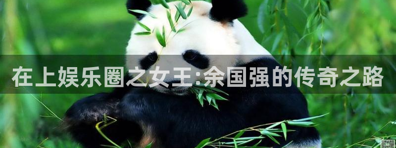 3d连线走势图2元网