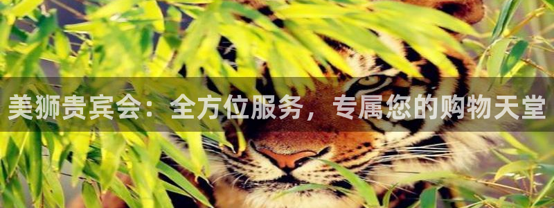 2元彩票官网