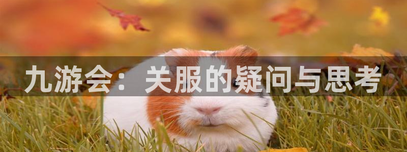 2元网河南二十二