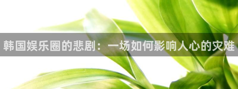2元网