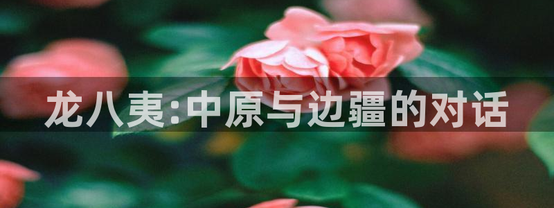 2元网河南二十二选五