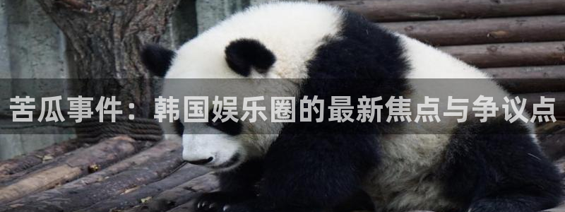 2元网河南二十二