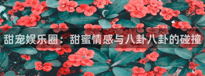 2元网走势图表：甜宠娱乐圈：甜蜜情感与八卦八卦的碰撞