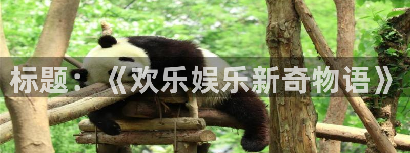 2元网走势图表