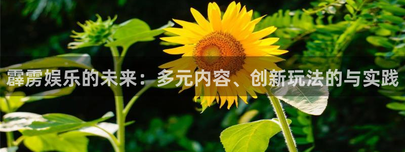 3d连线走势图2元网