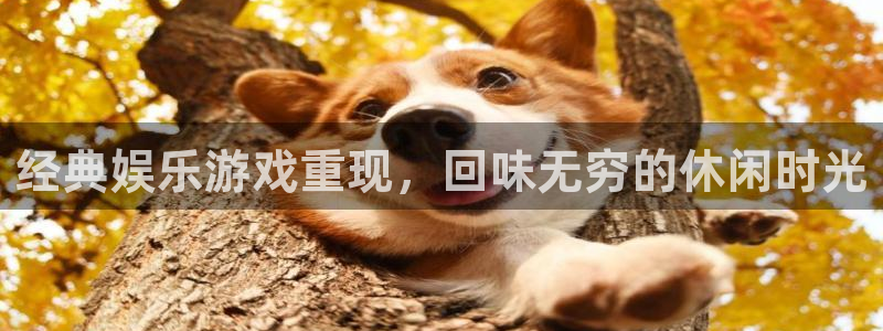 3d连线走势图2元网