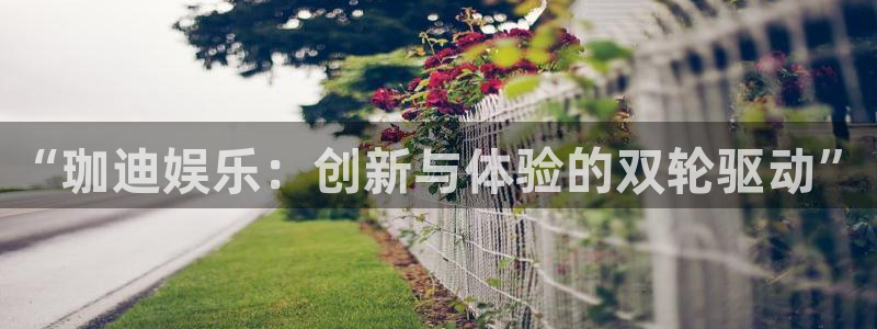 2元网河南二十二选五开奖号码