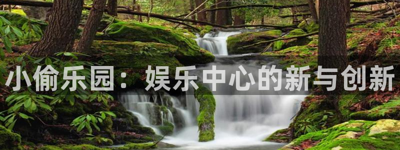 2元网走势图大全