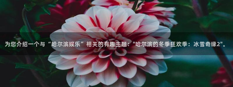 2元彩票官网