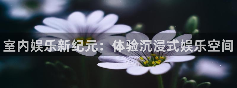 2元网走势图表