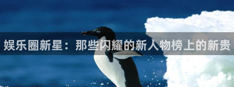 2元彩票官网