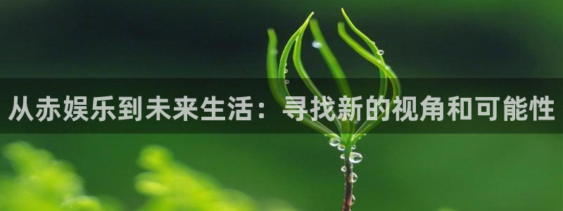 2元网河南二十二选五：从赤娱乐到未来生活：寻找新的视角和可能性