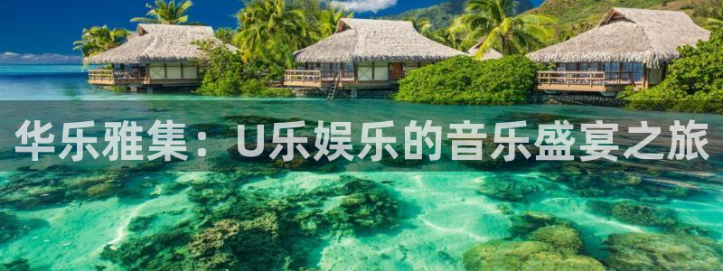 2元网河南二十二选五：华乐雅集：U乐娱乐的音乐盛宴之旅