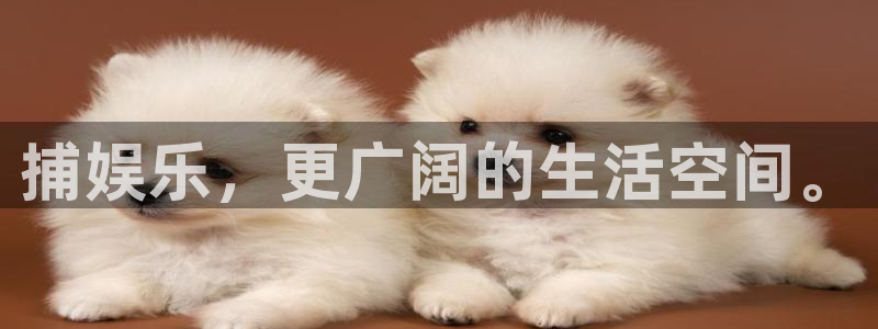 3d和值走势图2元网：捕娱乐，更广阔的生活空间。