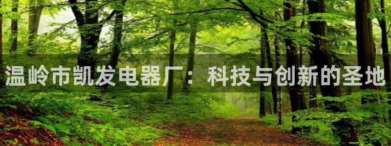 2元网河南二十二选五：温岭市凯发电器厂：科技与创新的圣地